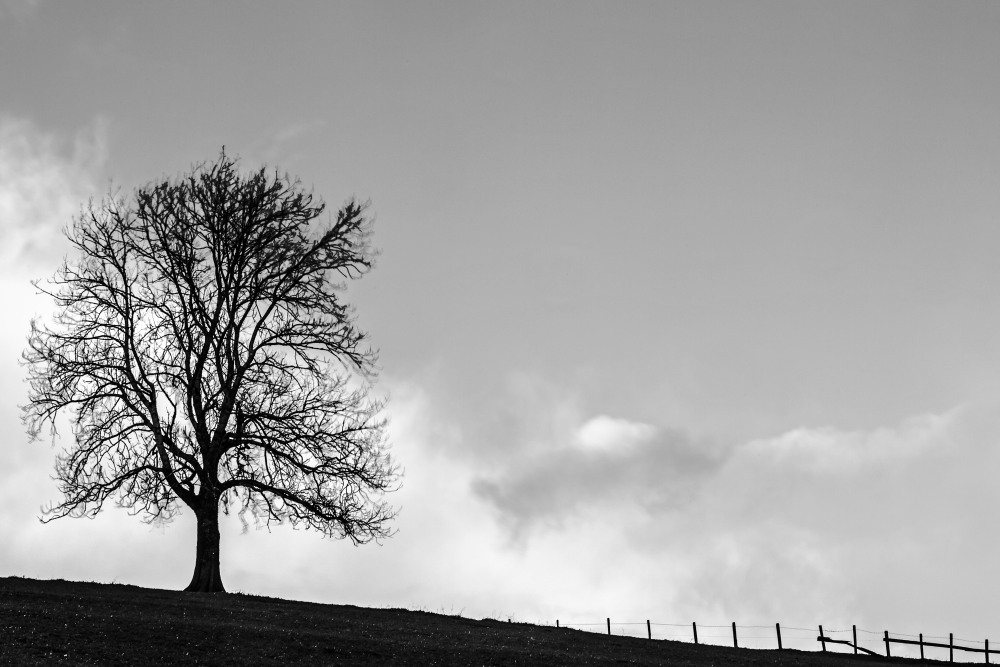 6. Platz Conny Kleiner